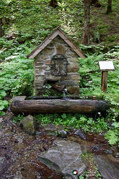Bründlweg am Pogusch