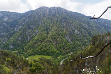 Palfauer Wasserlochklamm