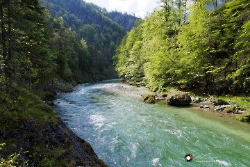 Palfauer Wasserlochklamm