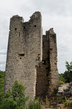 Dvigrad
