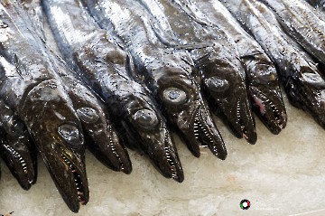 Bauernarkt in Funchal - Degenfisch Bauernarkt in Funchal - Degenfisch