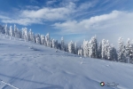 Schneeschuhwanderung - Wiedneralm - Ofnerkogel - Plankogel - Wiedneralm