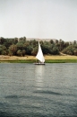 Egypt-141