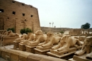 Egypt-052