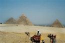 Egypt-223
