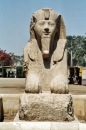 Egypt-202