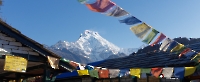 nepal-banthati-ghorepani-001-2