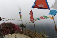 nepal-ghandruk-banthati-027