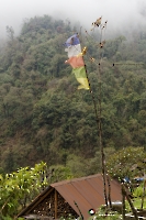 nepal-dhampus-landruk-004