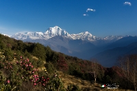 nepal-sonnenaufgang-poon-hill-017